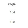 PI24A0230 Пальто жакет